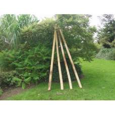 Bamboepaal 300 cm Bamboepaal 300 cm